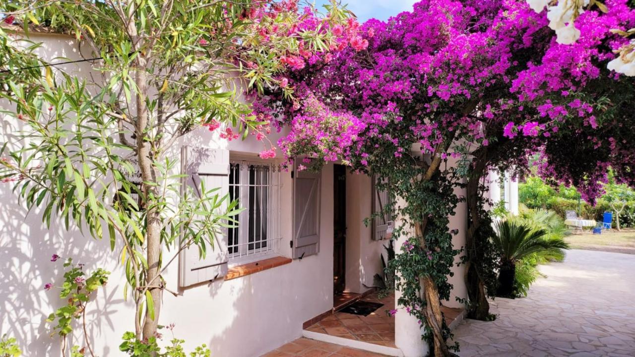 Villa Provencale A Sainte Maxime, Golf De Saint Tropez Екстер'єр фото