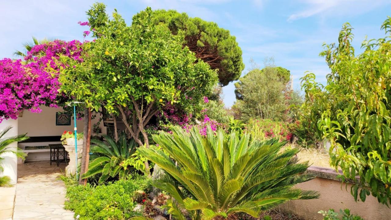 Villa Provencale A Sainte Maxime, Golf De Saint Tropez Екстер'єр фото