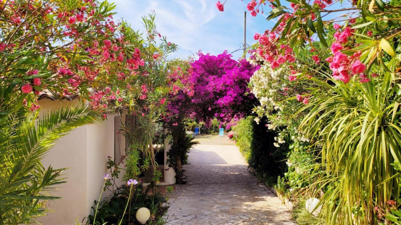 Villa Provencale A Sainte Maxime, Golf De Saint Tropez Екстер'єр фото